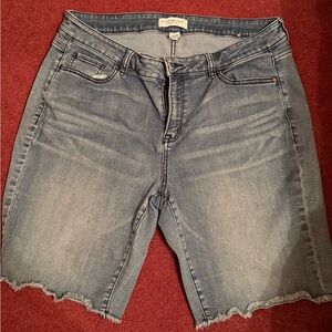 Lane Bryant Light Blue Denim Jeans